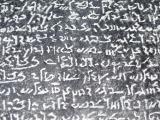 [Cliquez pour agrandir : 171 Kio] London - The British Museum: demotic text on a copy of the Rosetta Stone.