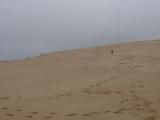 [Cliquez pour agrandir : 34 Kio] La Teste-de-Buch - La dune du Pyla : vue générale.