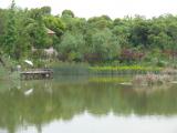 [Cliquez pour agrandir : 102 Kio] Shanghai - Le parc Wusong : pêcheurs sur un étang.