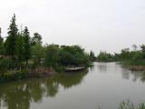 [Cliquez pour agrandir : 62 Kio] Shanghai - Le parc Wusong : étang saumâtre.