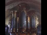 [Cliquez pour agrandir : 68 Kio] Saint-Étienne-de-Baïgory - L'église Saint-Étienne : l'orgue.