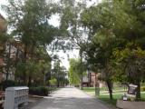 [Cliquez pour agrandir : 142 Kio] Phoenix - The Arizona State University: street.