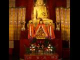 [Cliquez pour agrandir : 105 Kio] Shanghai - Le temple de Jing'An : statue du Bouddha et offrandes.