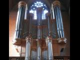 [Cliquez pour agrandir : 96 Kio] Douai - L'église Notre-Dame : l'orgue.