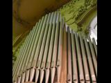 [Cliquez pour agrandir : 90 Kio] Rio de Janeiro - L'église du Tiers Ordre du Carmel : l'orgue.