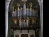[Cliquez pour agrandir : 97 Kio] Montpellier - La cathédrale Saint-Pierre : l'orgue.
