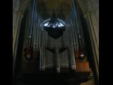 [Cliquez pour agrandir : 71 Kio] Beauvais - La cathédrale : l'orgue.