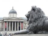 [Cliquez pour agrandir : 75 Kio] London - Trafalgar Square : the National Museum and a bronze lion.
