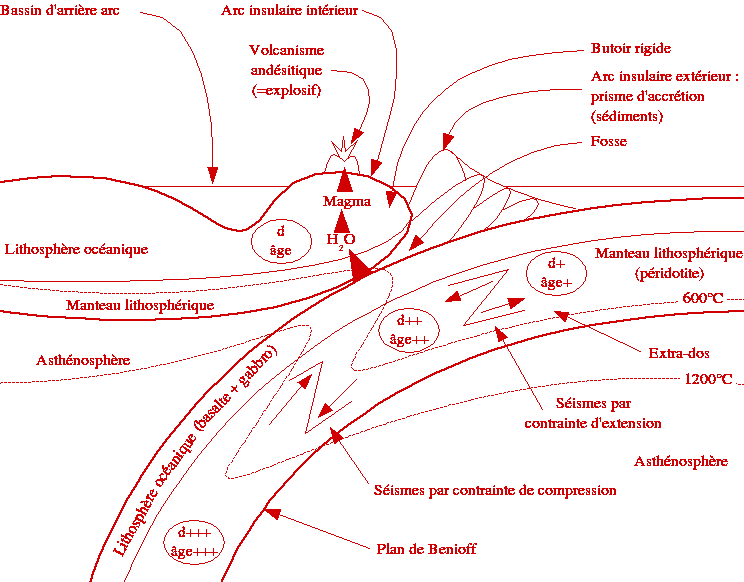 Géologie : Schéma récapitulatif du phénomène de subduction.