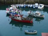 [Cliquez pour agrandir : 95 Kio] Saint-Sébastien - Le port de pêche.