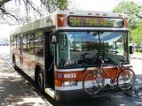 [Cliquez pour agrandir : 135 Kio] Austin - A bus.