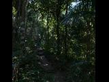 [Cliquez pour agrandir : 136 Kio] Rio de Janeiro - Le pain de sucre : sentier ombragé.