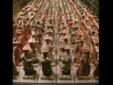 [Cliquez pour agrandir : 117 Kio] Xi'an - Le musée de l'histoire du Shaanxi : gardiens de tombe de la dynastie Ming.