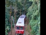 [Cliquez pour agrandir : 126 Kio] Rio de Janeiro - Le Corcovado : train.