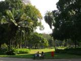 [Cliquez pour agrandir : 136 Kio] Rio de Janeiro - Le parc Campo de Santana : vue générale.