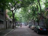 [Cliquez pour agrandir : 138 Kio] Shanghai - La rue de la résidence du Dr. Sun Yat-Sen.