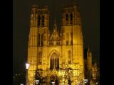 [Cliquez pour agrandir : 102 Kio] Bruxelles - La cathédrale Saints-Michel-et-Gudule, de nuit.