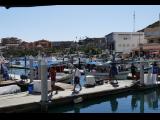 [Cliquez pour agrandir : 124 Kio] Cabo San Lucas - La Marina.