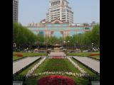 [Cliquez pour agrandir : 105 Kio] Shanghai - Le parc Fuxing.