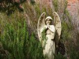 [Cliquez pour agrandir : 173 Kio] Sedona - The chapel of the Holy Cross: statue in a small garden.