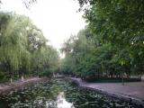 [Cliquez pour agrandir : 125 Kio] Shanghai - Le parc Lu Xun.
