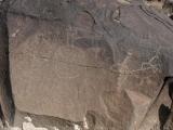 [Cliquez pour agrandir : 116 Kio] Albuquerque - Petroglyph National Monument: petroglyph.