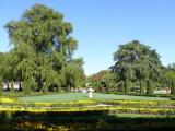 [Cliquez pour agrandir : 127 Kio] Madrid - Le parc du Retiro : vue générale.