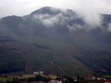 [Cliquez pour agrandir : 43 Kio] Saint-Jean-Pied-de-Port - Les vignobles d'Irouléguy sur la montagne Ardoy.