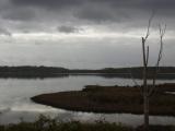 [Cliquez pour agrandir : 45 Kio] Landes - Les marais d'Orx : vue générale.