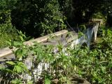 [Cliquez pour agrandir : 186 Kio] Rio de Janeiro - Le jardin botanique : aqueduc.