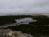 [Cliquez pour agrandir : 63 Kio] Arcachon - Le bassin : prés salés.