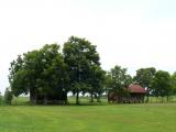 [Cliquez pour agrandir : 80 Kio] Louisiana - A plantation: general view.