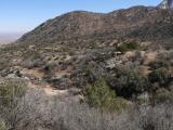 [Cliquez pour agrandir : 147 Kio] Organ Mountains - Aguirre Springs.