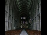 [Cliquez pour agrandir : 82 Kio] Reims - La basilique Saint-Remi : la nef.