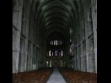 [Cliquez pour agrandir : 82 Kio] Reims - La basilique Saint-Remi : la nef.