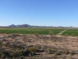 [Cliquez pour agrandir : 82 Kio] Tucson - Mission San Xavier: view from the hill.