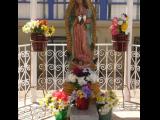 [Cliquez pour agrandir : 115 Kio] Tucson - Saint-John-the-Evangelist's church: statue of Our Lady of Guadalupe.