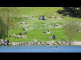 [Cliquez pour agrandir : 159 Kio] La Courneuve - Le parc Georges-Valbon : vue générale.