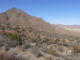 [Cliquez pour agrandir : 107 Kio] Organ Mountains - Aguirre Springs.