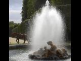 [Cliquez pour agrandir : 98 Kio] Versailles - La fontaine de Bacchus, en activité.