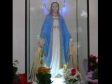 [Cliquez pour agrandir : 69 Kio] Rio de Janeiro - L'église Saints-Jude-et-Thaddée : statue de la Vierge.