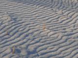 [Cliquez pour agrandir : 168 Kio] White Sands - Dunes: detail.