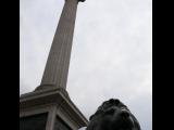 [Cliquez pour agrandir : 37 Kio] London - Trafalgar Square : Nelson's column and a lion.