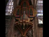 [Cliquez pour agrandir : 98 Kio] Strasbourg - La cathédrale : l'orgue.