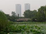[Cliquez pour agrandir : 92 Kio] Nankin - Parc près du lac Xuanwu.