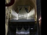 [Cliquez pour agrandir : 74 Kio] Lille - La cathédrale Notre Dame de la Treille : l'orgue.