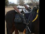 [Cliquez pour agrandir : 85 Kio] Tucson - Fort Lowell Day: the cavalry.