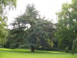 [Cliquez pour agrandir : 127 Kio] Douai - Le parc Charles Bertin.