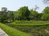 [Cliquez pour agrandir : 140 Kio] Shanghai - Le parc Fuxing.