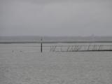 [Cliquez pour agrandir : 45 Kio] Arcachon - Le bassin.